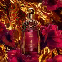 عطر جيرلان ابسولو أليجوريا روز اميرا 125 ملي