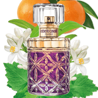 عطر روبرتو كافالي فلورنس 75 ملي