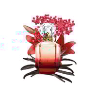 عطر روبرتو كافالي باراديسو اسولوتو 75 ملي