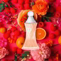 عطر ارماند باسي ان مي 80 ملي