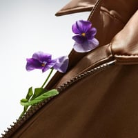 عطر بوس وايلد فيوليت 100 ملي