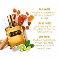 عطر اراميس كلاسيك 110 ملي