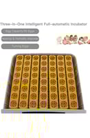 حاضنة بيض رقمية Road56s بيضة - الحلم الرقمي لتفقيس...