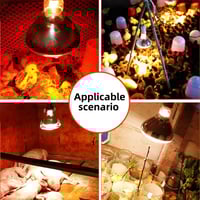 150W High Efficiency Red Heat Lamp - مصباح تدفئة أ...