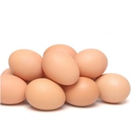 8 قطع بيض وهمي لدجاج بحجم 57*43 ملم - مجموعة توجيه...