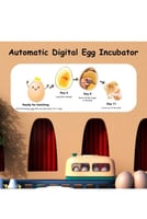 فقاسة بيض ALR-F008Y