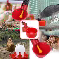 أكواب شرب الدجاج الأوتوماتيكية - حزمة 5 قطع