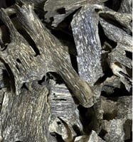 عود قواقع غابات فيتنامي طبيعي