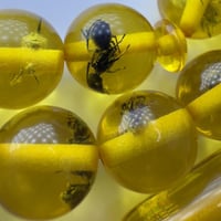 سبحة بكلايت محشره (نمل) كامل