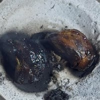 سبحة خشب صندل طبيعي – اندرووتر