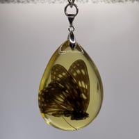 ميدالية من تراب الكهرمان الروسي محشره (فراشه كامله...