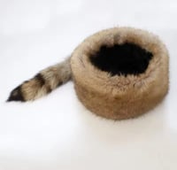 قبعة الراكون