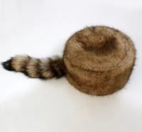 قبعة الراكون