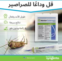 حقنه واحدة من جل الصراصير الأمريكي الأصلي