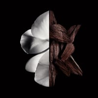 عطر جيفنشي جنتل مان بويزي للرجال - او دى بارفيوم 1...