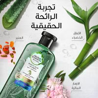 هيربل ايسنسز شامبو لتقوية الشعر بالصبار والبامبو –...