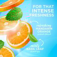 كلوس اب معجون أسنان كول فريش بالليمون والنعناع - 7...