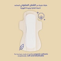 سيركلز فوط صحية بغطاء من القطن العضوي عادية بالأجن...
