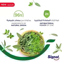 سيجنال معجون أسنان المتكامل 8 بالأعشاب - 75 مل