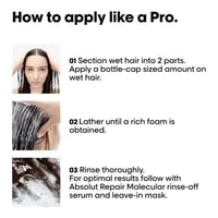 لوريال بروفيشنال شامبو أبسولوت ريبير موليكيولر – 3...