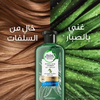 هيربل ايسنسز شامبو لتقوية الشعر بالصبار والبامبو –...