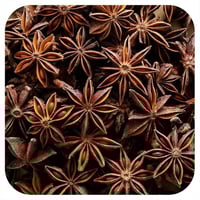 يانسون يوناني نجمه