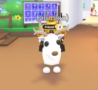 arctic reindeer fly ride