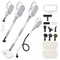 منظف البخار المنزلي