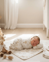 تصميم فوق السحاب