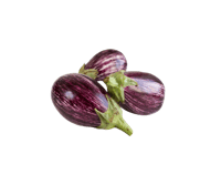 باذنجان حبة صغيرة ( بالكيلو )