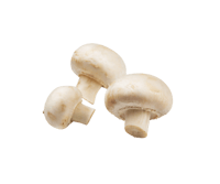 فطر أبيض ( بالربع كيلو )