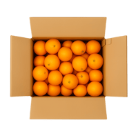 برتقال للعصير ( كرتون 7 كيلو )