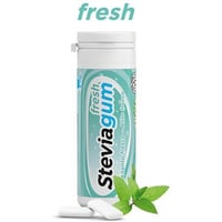 Stevia Fresh Strong Spearmint Gum 30g