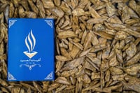 عود دقة كلمنتان