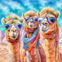 أصدقاء في إجازة