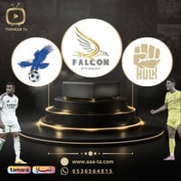 فالكون + هولك + فولتشر لمدة 3 شهور