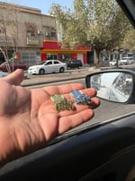 بروشات نحلم و نحقق ذهبي و فضي