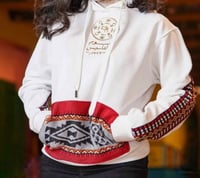 بلوفر التأسيس