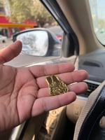 بروشات نحلم و نحقق ذهبي و فضي