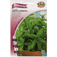 بكيت بذور نعناع