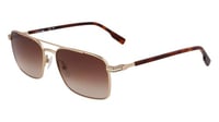 HAVANA / BROWN