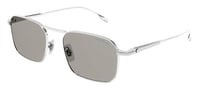 Silver/Brown (003 HE)