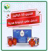 كرتون ماء زمزم جرة صغيرة 250 مل – 24 علبة