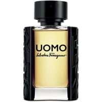 عطر سلفاتوري فيراغامو اومو او دو تواليت للرجال 100...