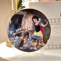 صحن فني - سنووايت