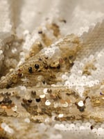 ترتر مموج لونين