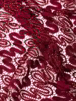 دانتيل لوريكس