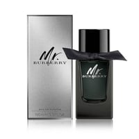 عطر مستر بربري او دي بارفيوم 100 مل