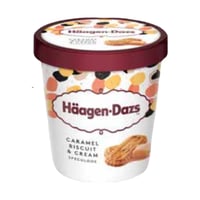 هاجن-داز ايس كريم 460 غ