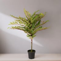 زرع صناعي بتصميم شجرة بمركن باللون الاسود مقاس 80...